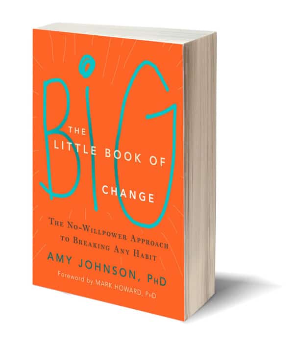 The little book of big change